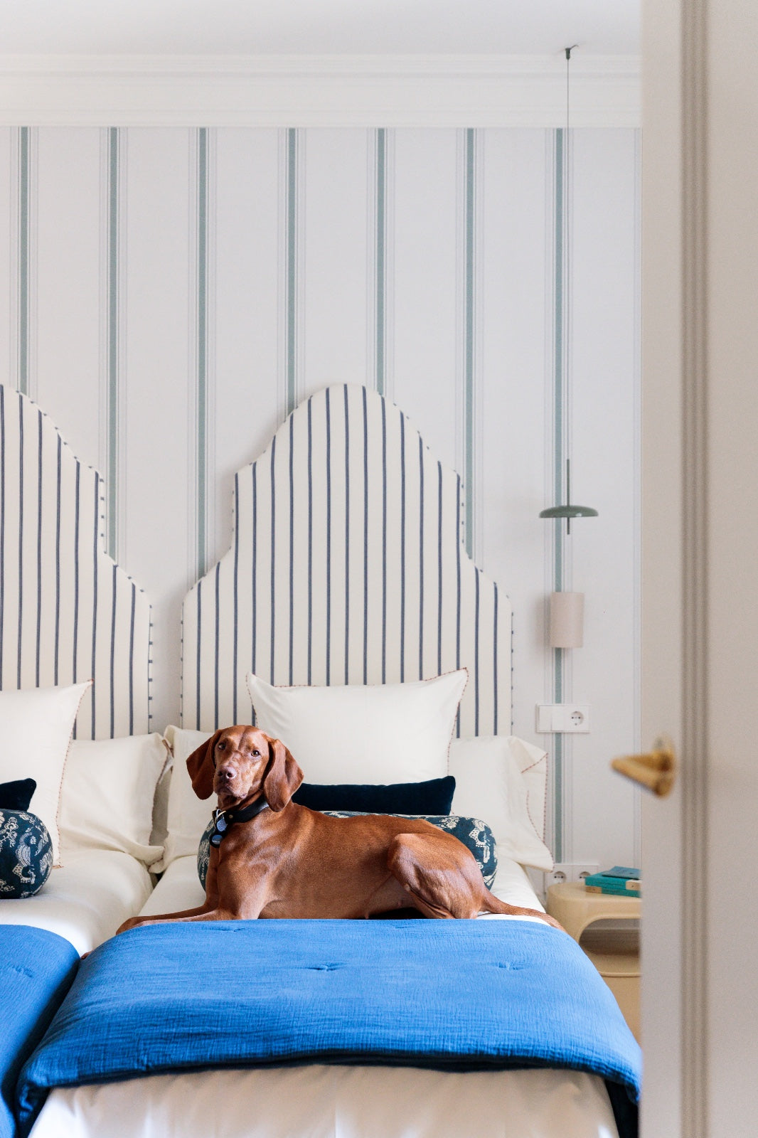 Lámpara Nómada Colgante