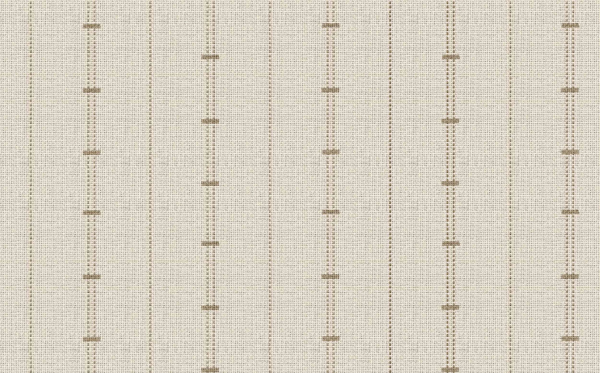 Papel Raíces