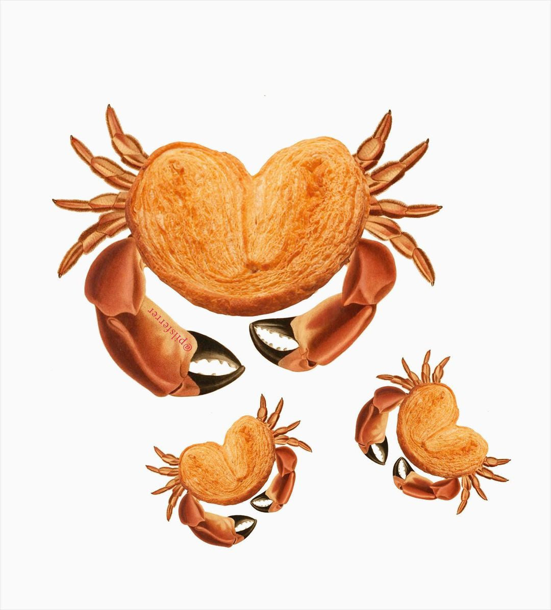 cangrejo.jpg