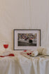 catalogo_pilsferrer_pelillosderaton_-101-min.jpg