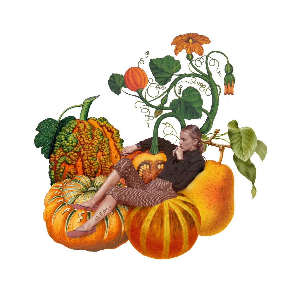 Pumpkin meditation.jpeg