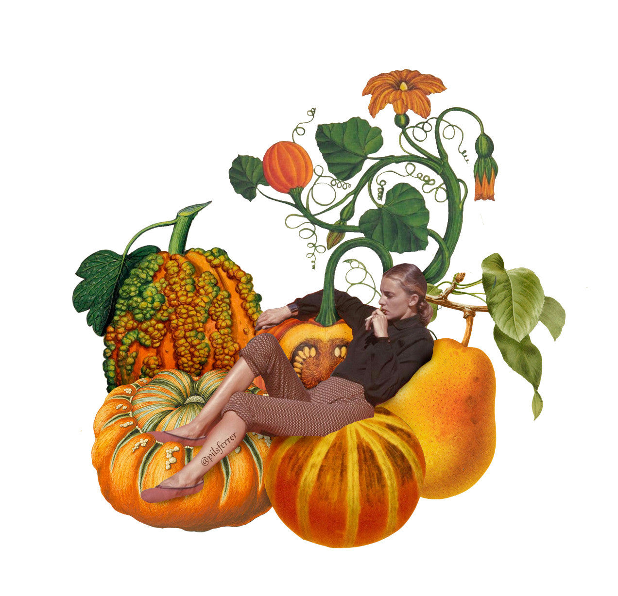 Pumpkin meditation.jpeg