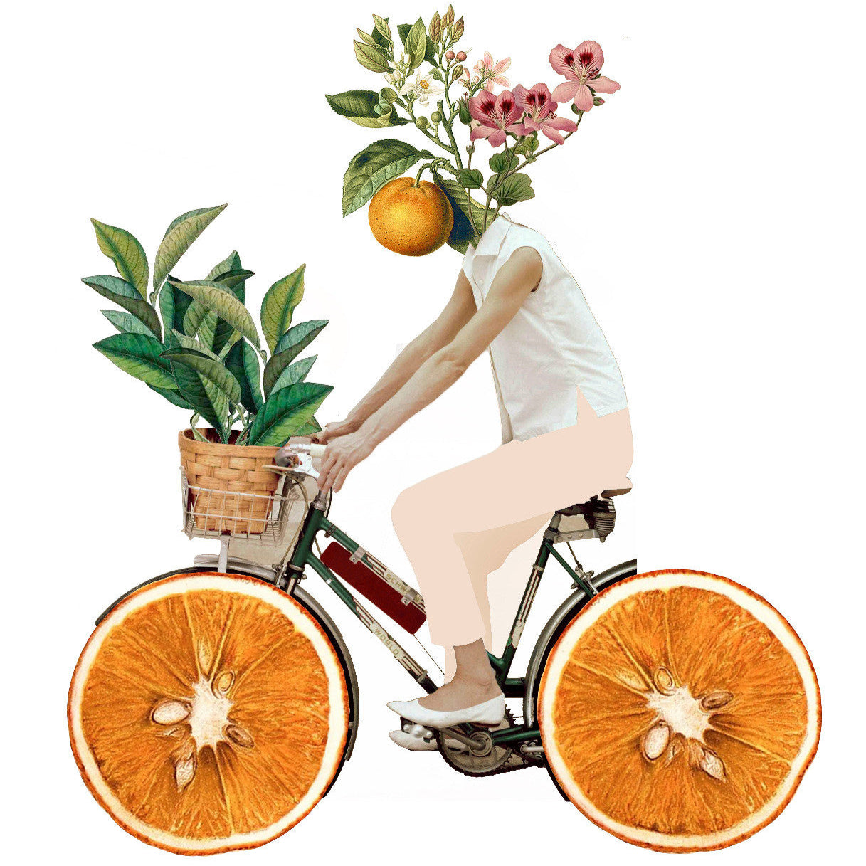 bici.jpeg