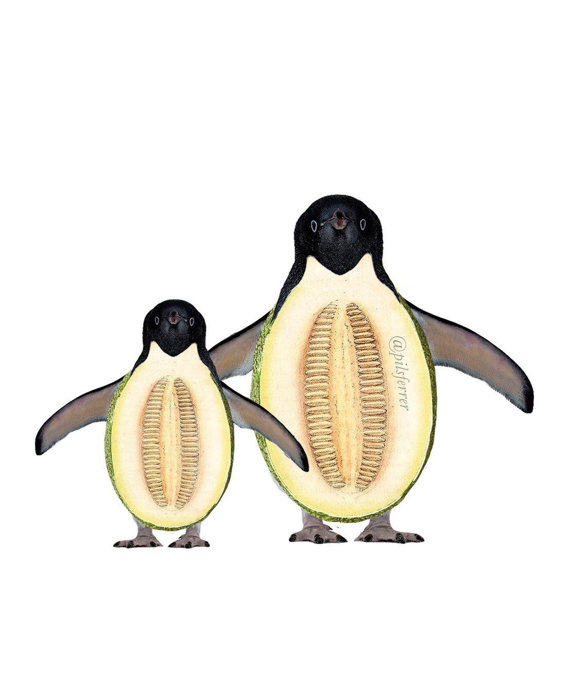 pinguacates_melon.jpg