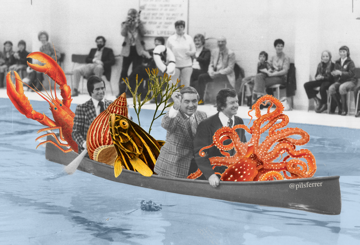 canoa II.png