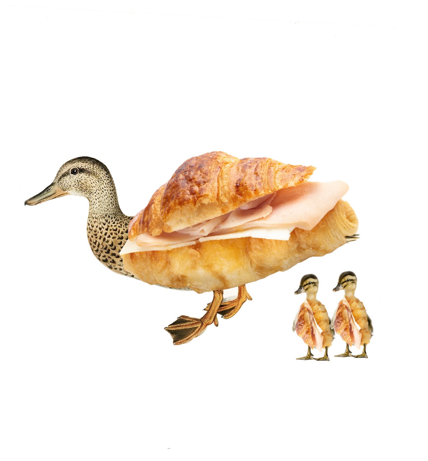 patitos.jpeg