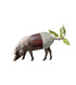 cerdo-bellota.jpeg