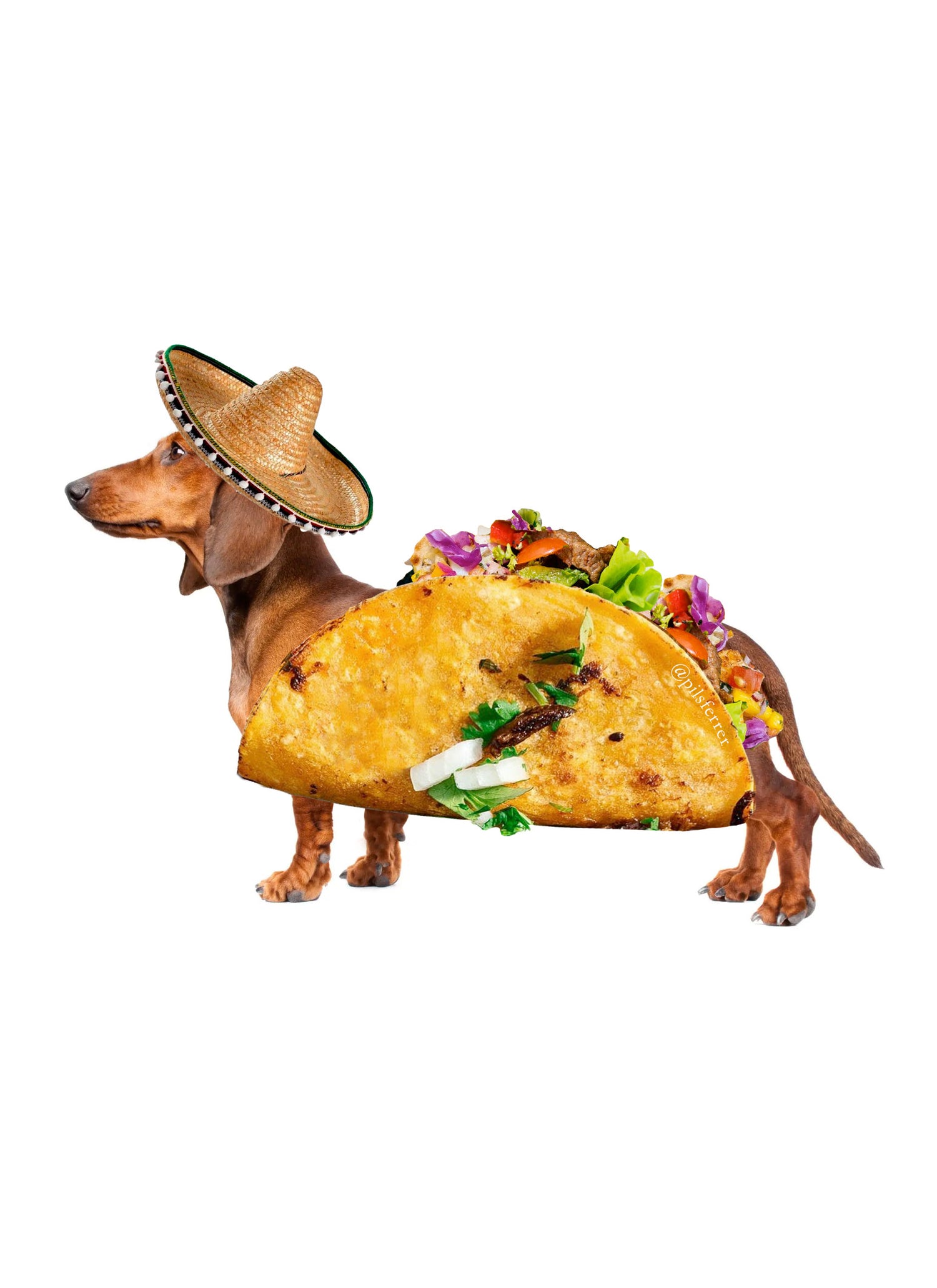 Taco Tecko