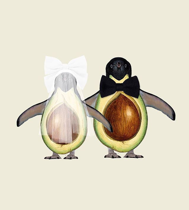 Pinguacate se va de boda 🎩 🥑. .__Como 