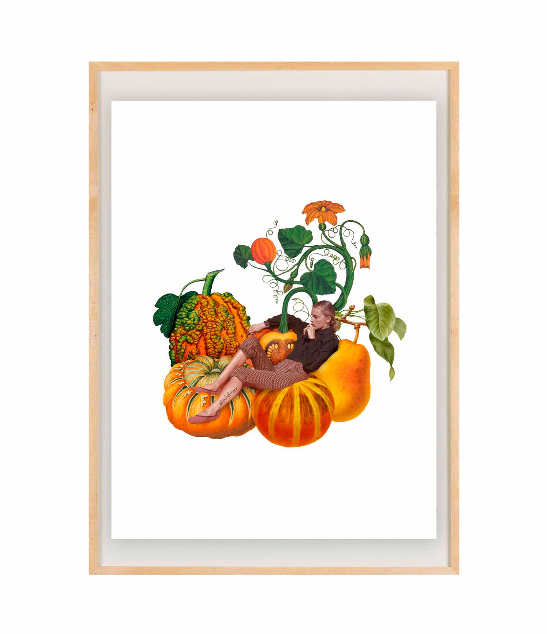 pumpkin-meditation-marco-madera.jpg