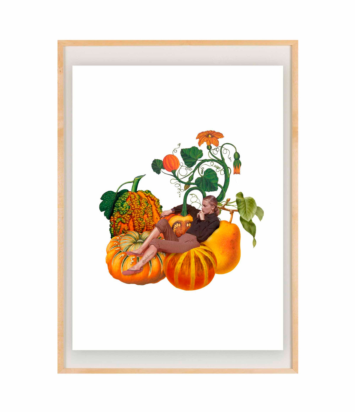 pumpkin-meditation-marco-madera.jpg