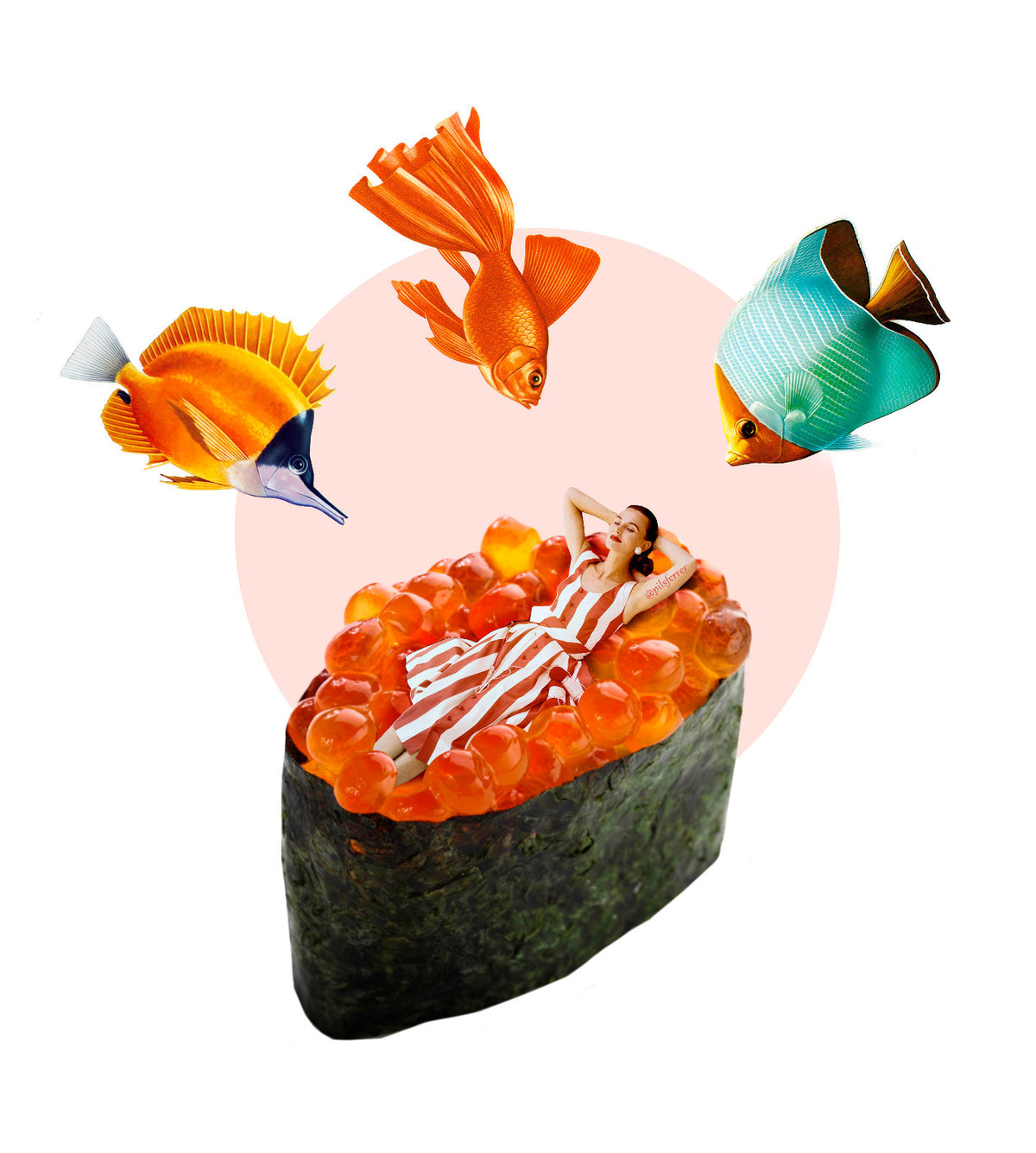 peces-sushi.jpeg