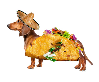 Taco Tecko.jpg