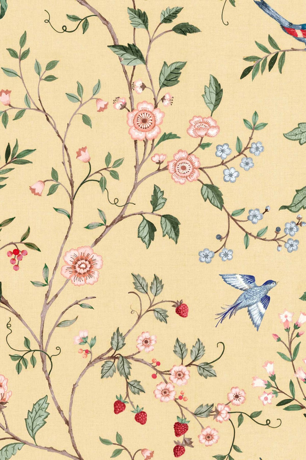 Papel Bucolic