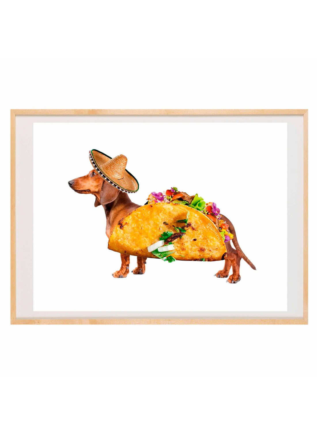 Taco Tecko