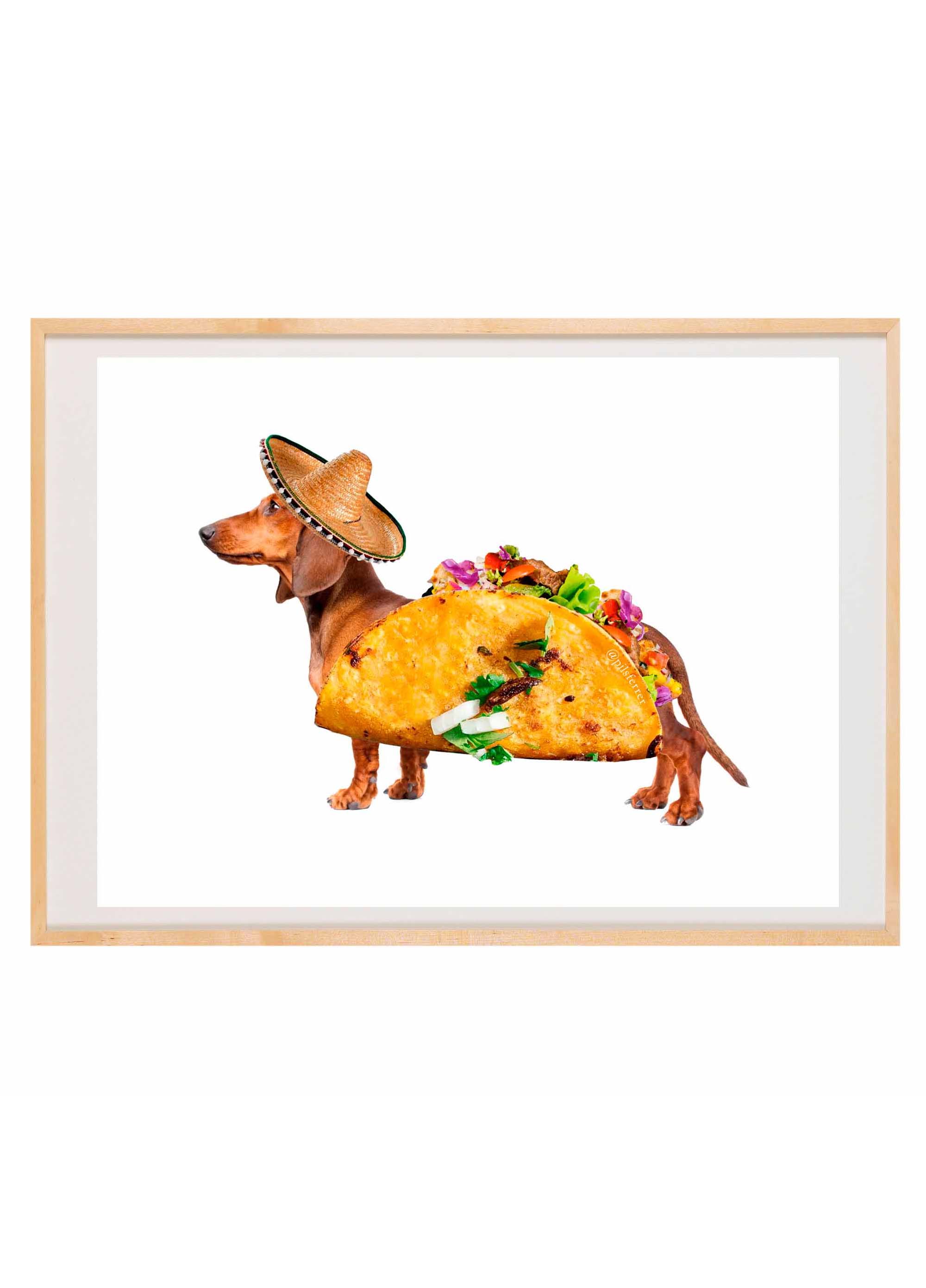 Taco Tecko